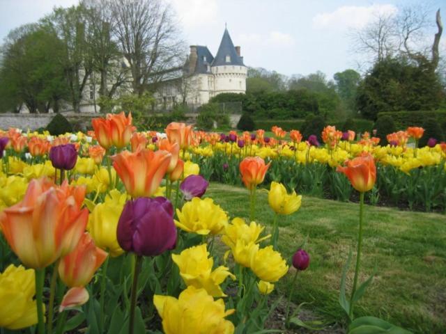 Le Refuge De Normandie Avec Spa Et Cheminee Mesnieres-en-Bray Exterior photo